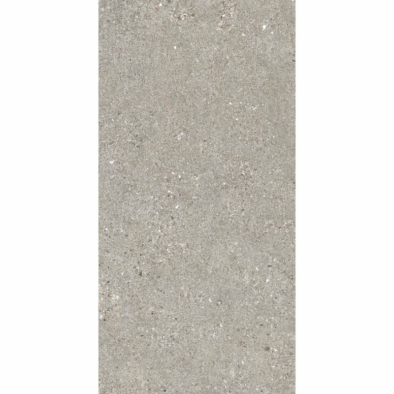 Manhattan Grey Stone Effect Tiles 120X60